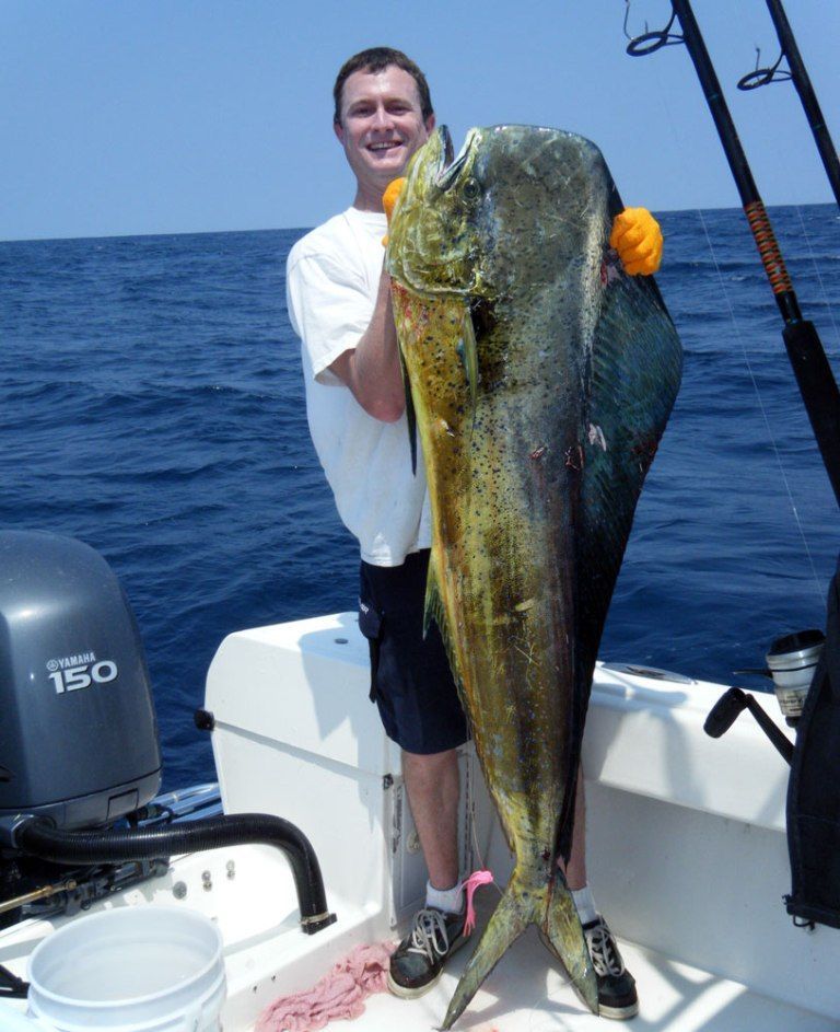 A man is holding a large fish on a boat with a 150 engine in the background
