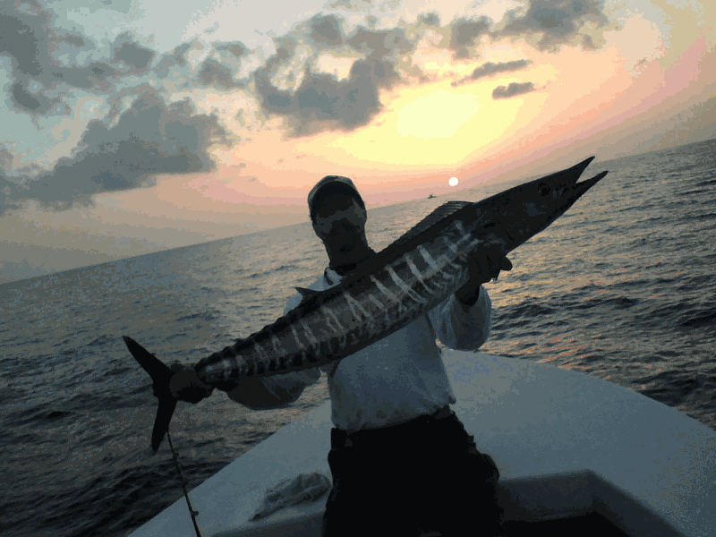A man on a boat holding a large fish
