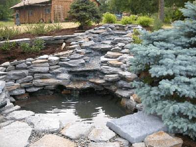 Rock garden pond with a small stone waterfall and evergreen shrub beside a rustic cabin