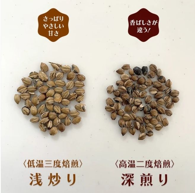 (預購) 日本職人 自家焙煎丸粒麥茶20入