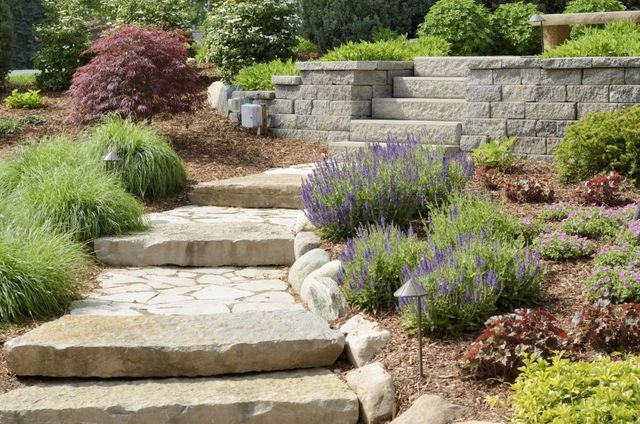 Scalini in pietra da giardino con fiori viola e vegetazione lussureggiante che conducono a un muro di contenimento rialzato.
