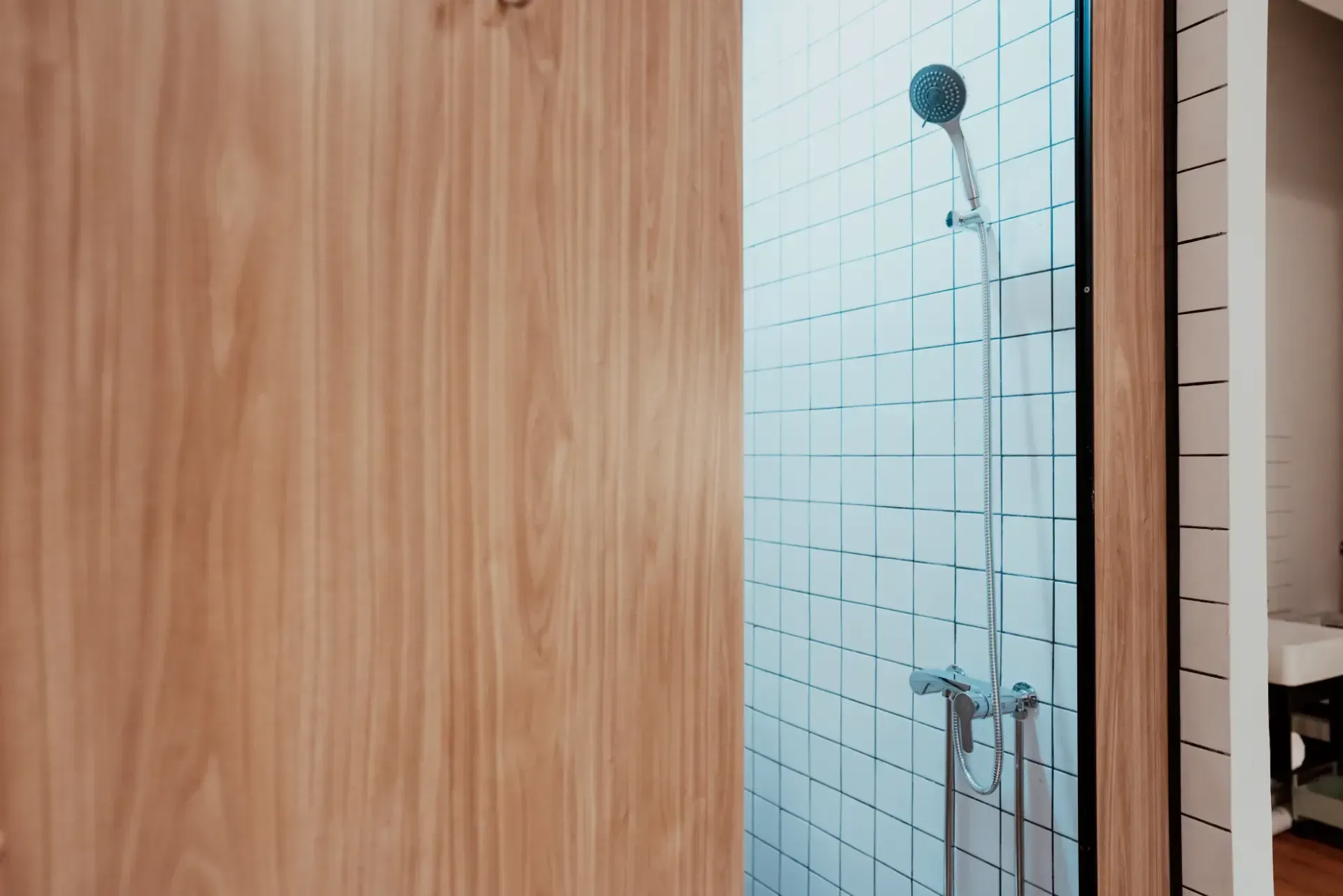 shower and toilet