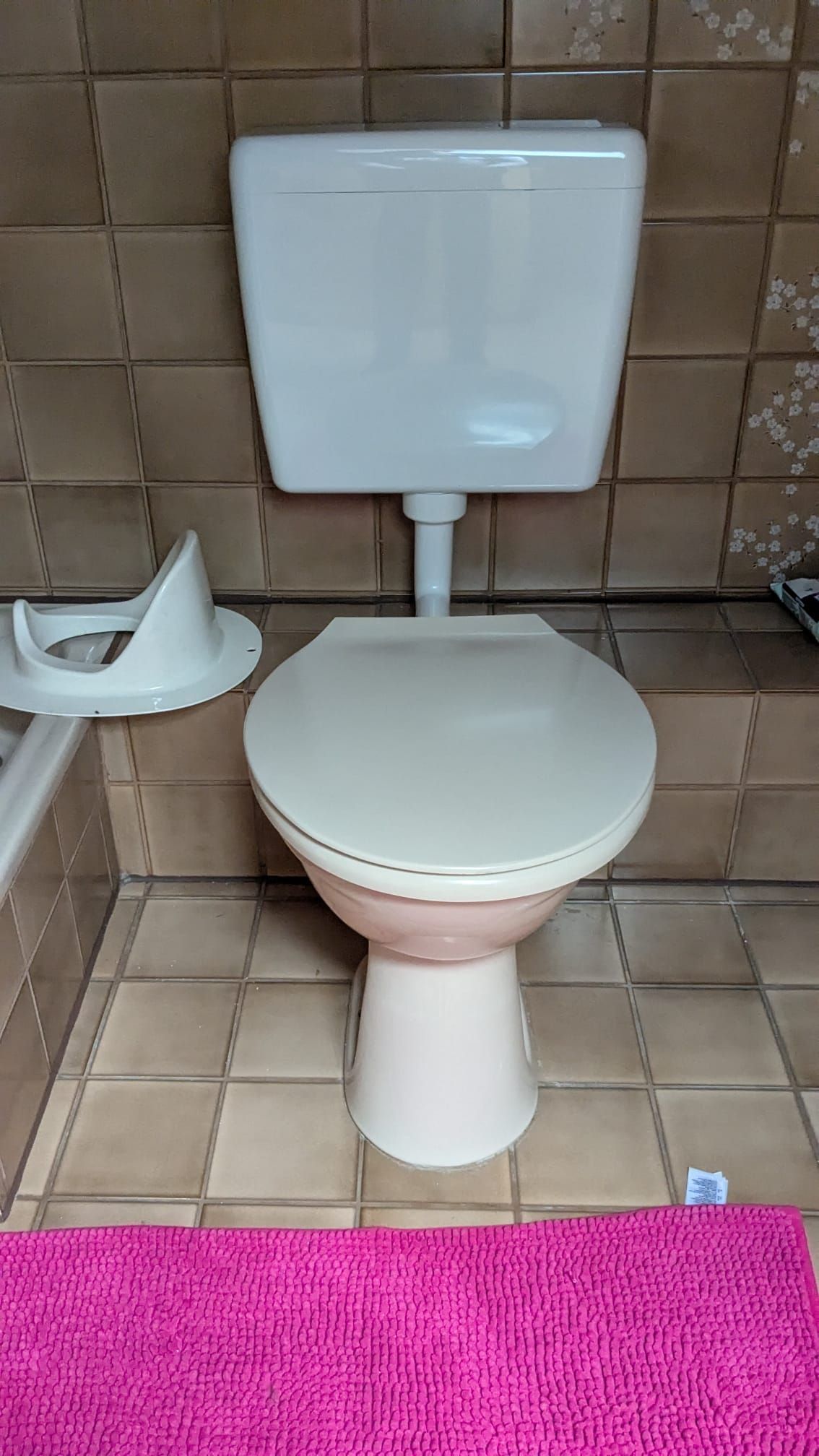 A white toilet is sitting on a tiled floor next to a pink rug.