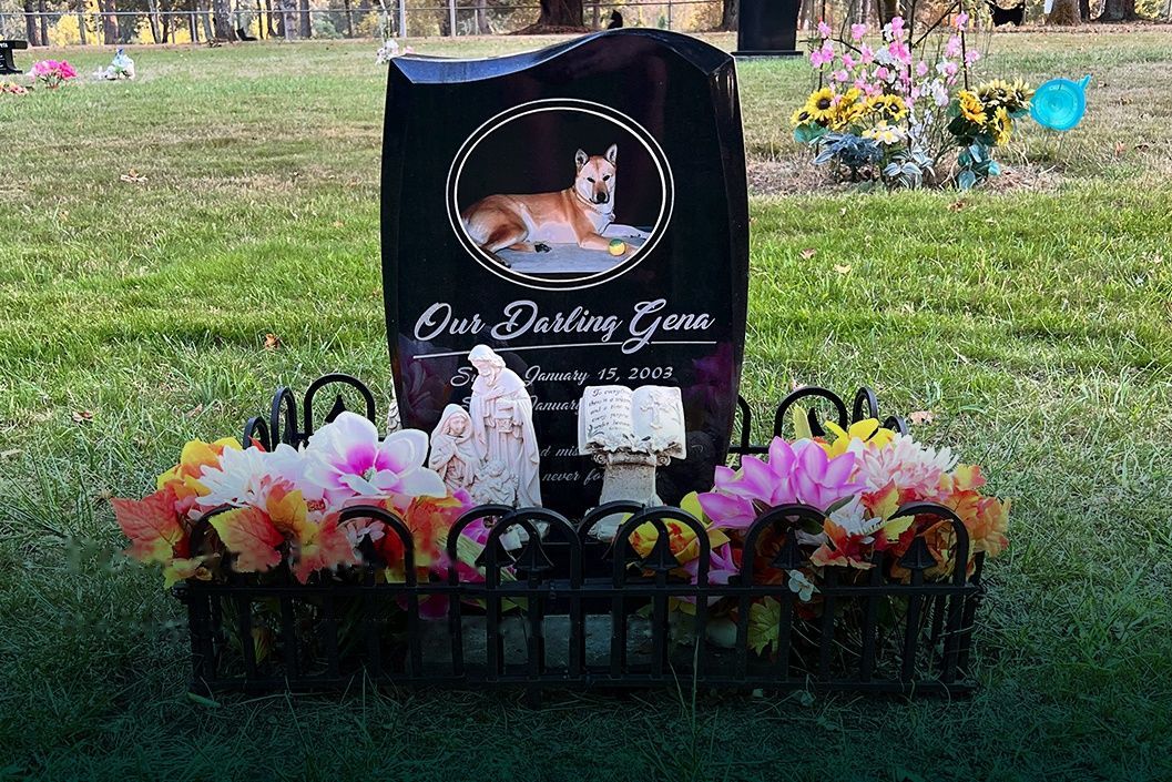 Memorial grave marker with dog photo, flowers, candles, and a small fence in a grassy cemetery area