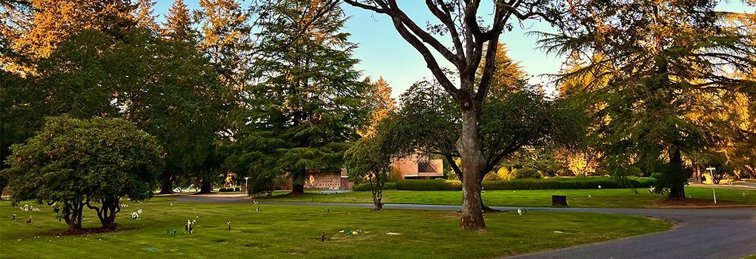 Tree-lined park with green grass, a few white markers, and houses in the background at sunset.