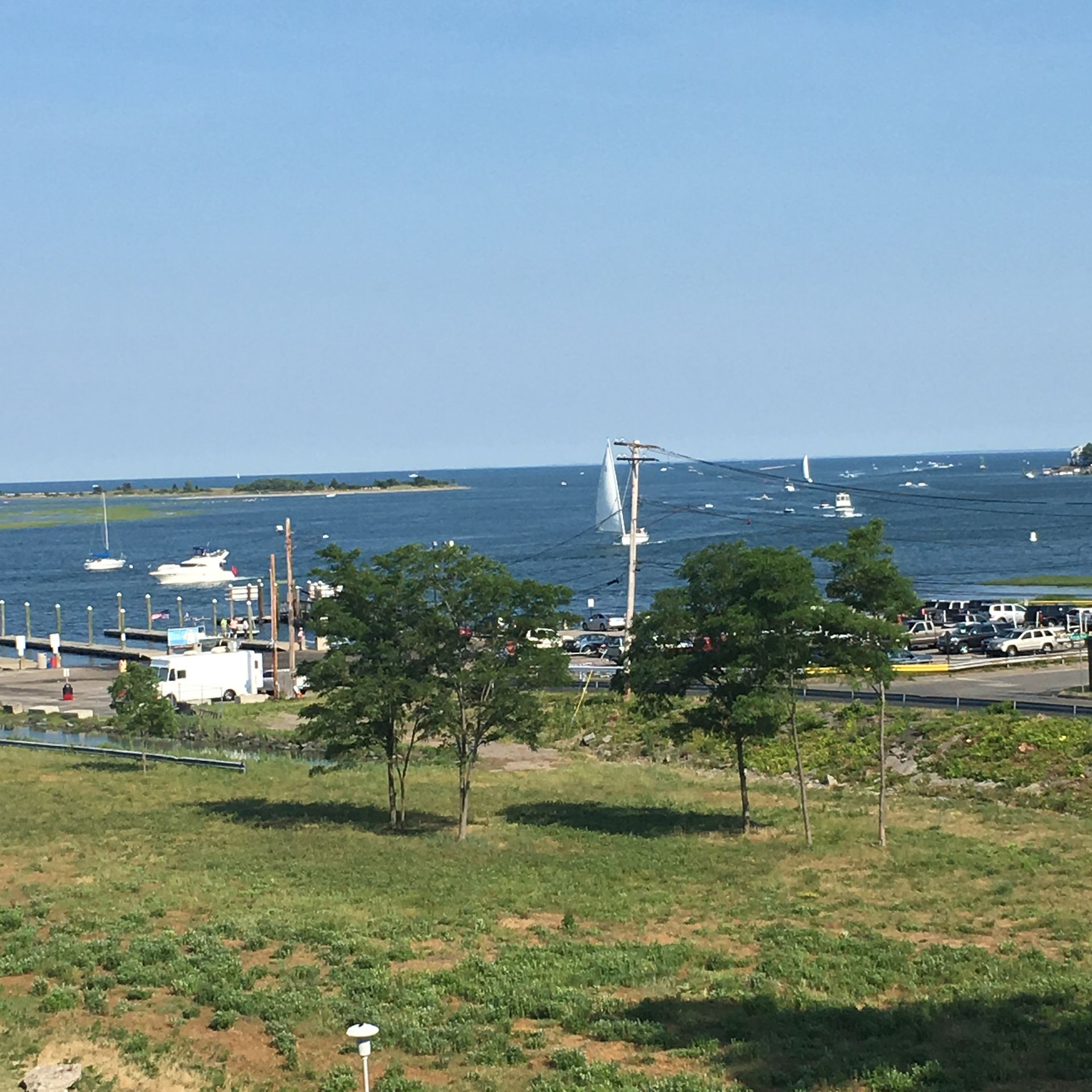 Blue water harbor with boats, trees in the foreground, and clear blue sky.