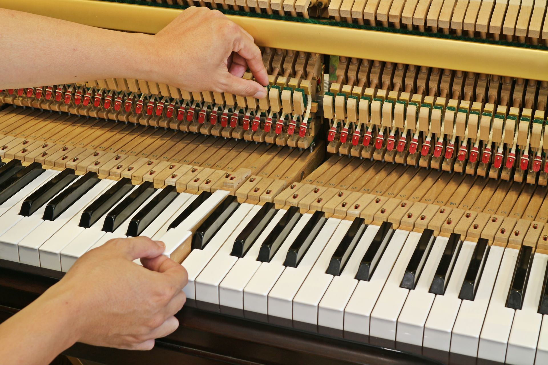 Hands tuning a piano's internal hammers above the keyboard.