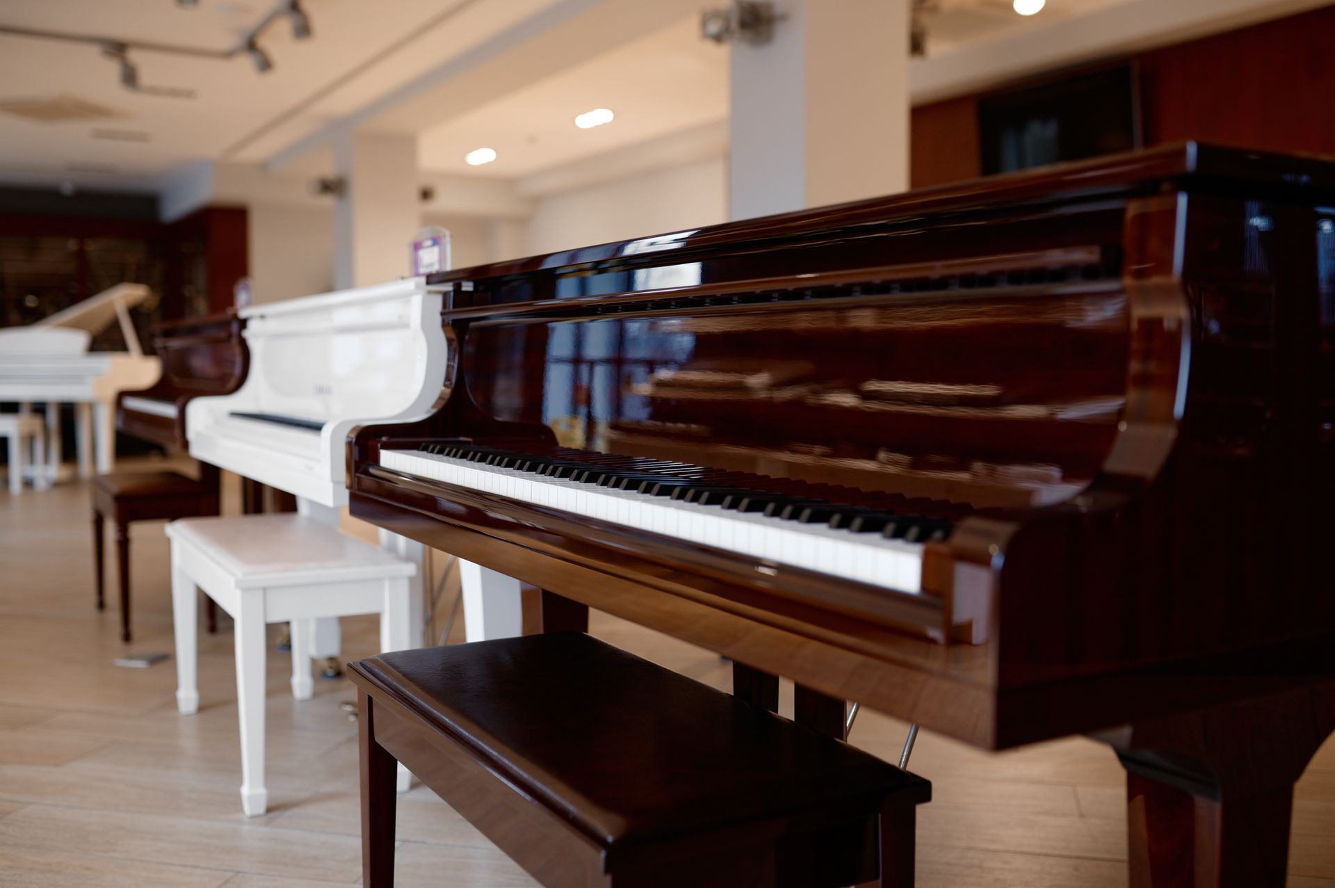 White and brown grand pianos in a bright recital room with wooden floors