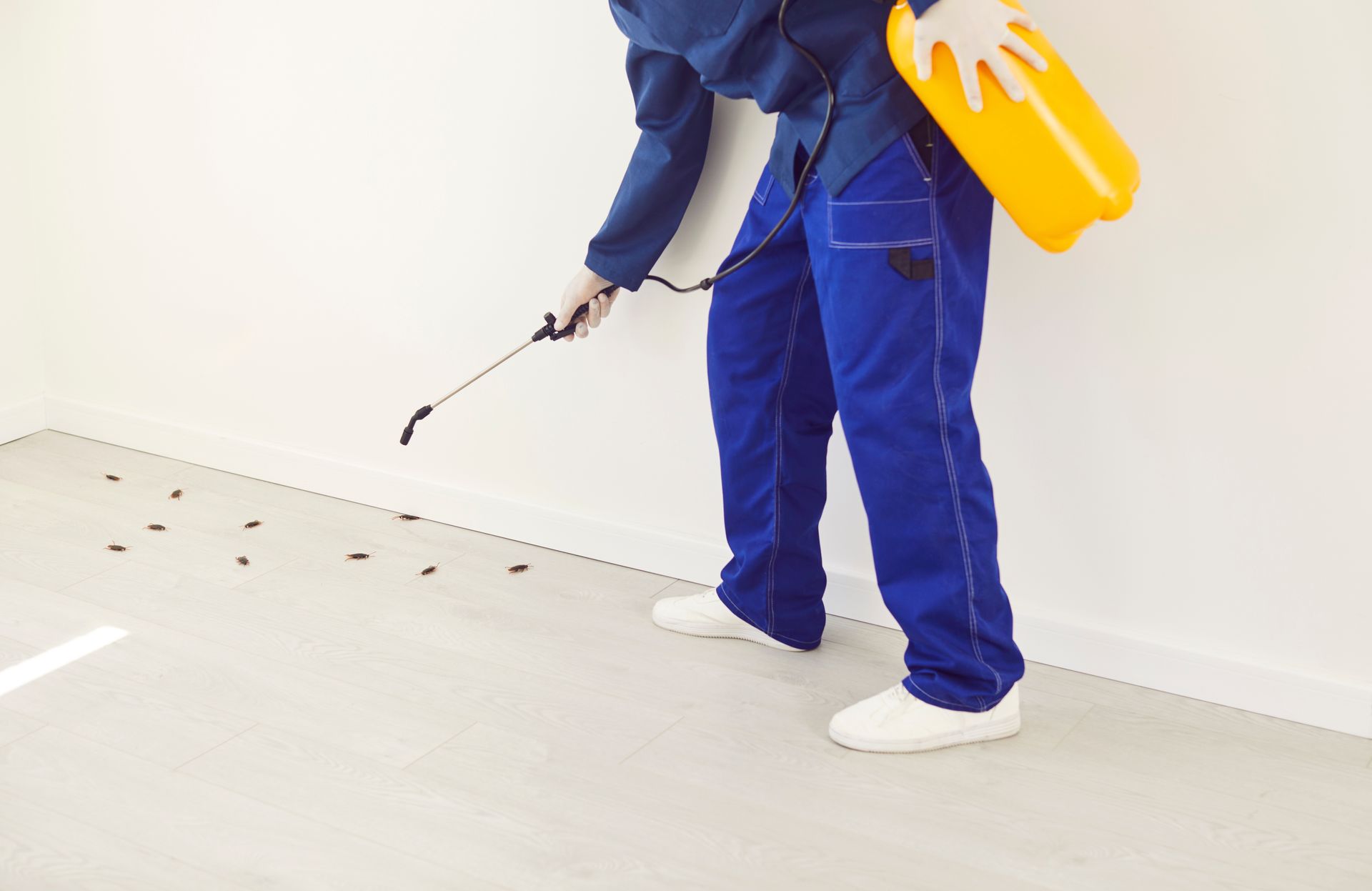 Professional Pest Control Services