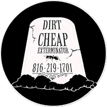 Dirt Cheap Exterminators Dirt Cheap Exterminators
