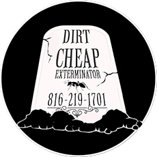Dirt Cheap Exterminators Dirt Cheap Exterminators