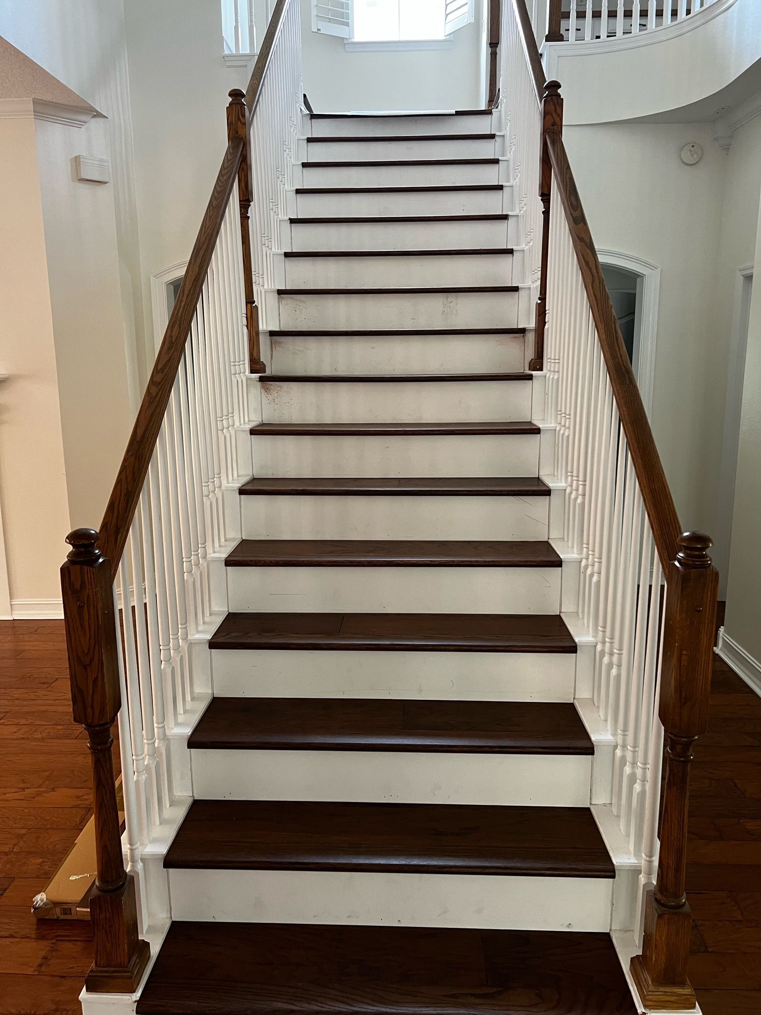 Carpeted staircase with white railings and dark wooden steps in a bright interior. - BittnerSweet Co.