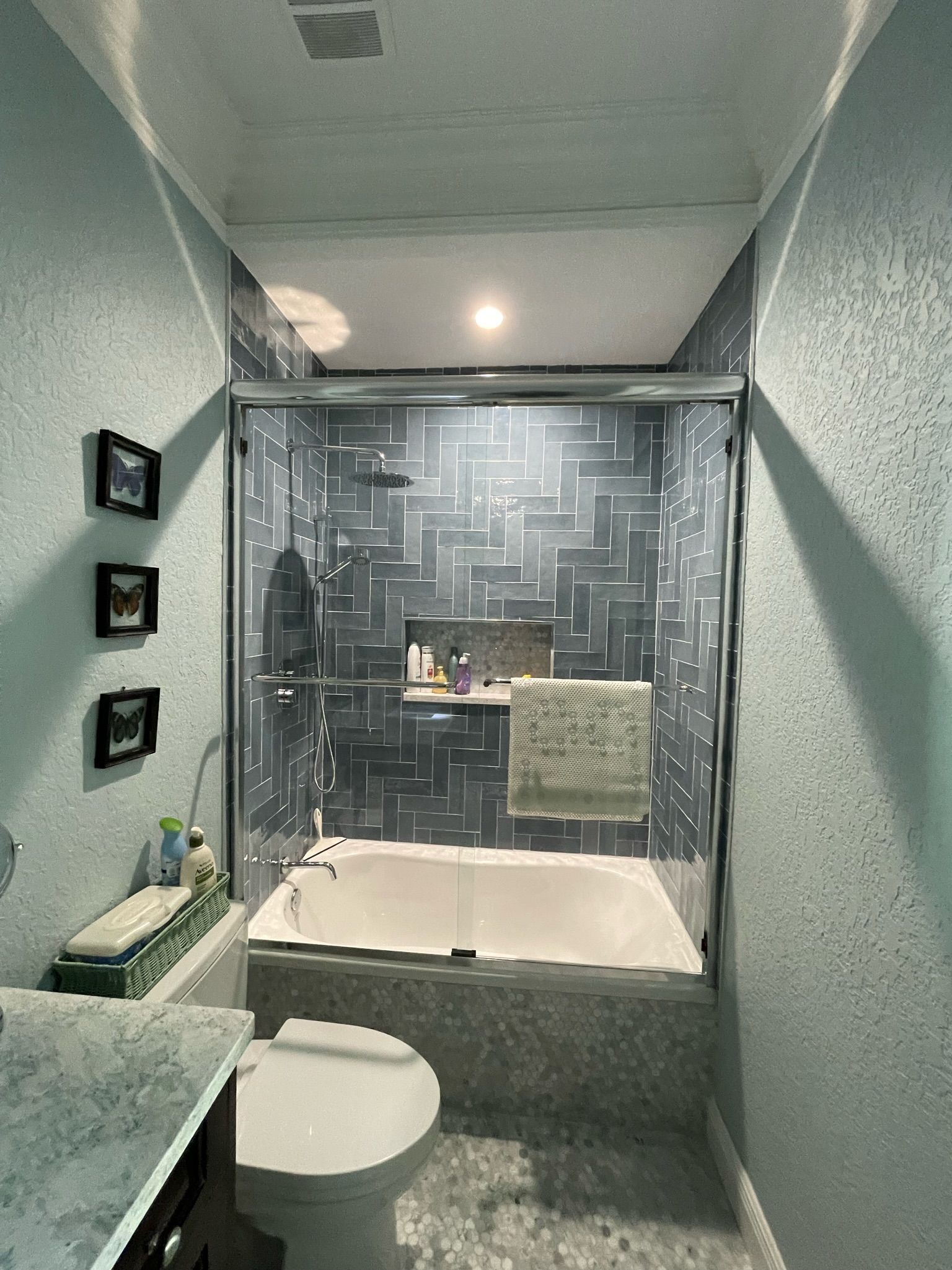 A BittnerSweet project: narrow bathroom with teal walls, toilet, sink, and glass shower enclosure at the far end.