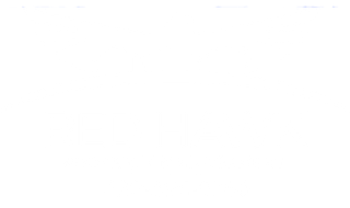 Logo White