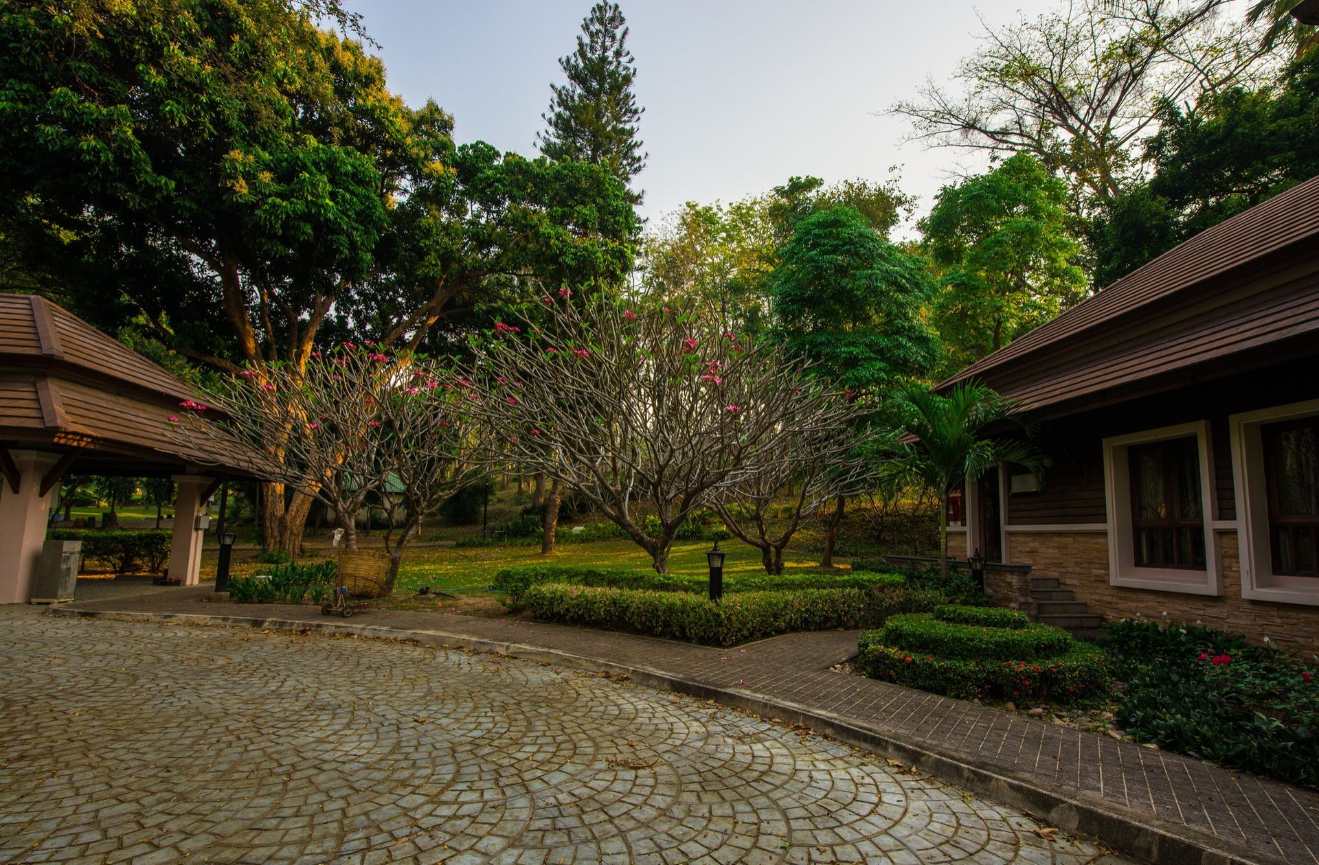 A cobblestone driveway leading to a house surrounded by trees and bushes.