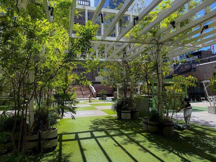 A lush green garden with trees and potted plants under a white pergola.