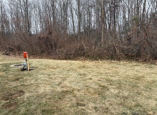 A grassy backyard leading to a dense line of bare trees, with an orange utility box on a wooden post in the foreground.