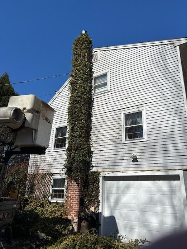 A brick chimney on the side of a white house is completely covered in thick green ivy, with a bucket truck parked nearby.