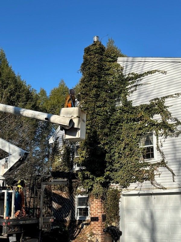 A worker in a bucket truck trims ivy growing on a brick chimney attached to the side of a white residential building.
