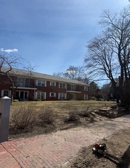 A red brick apartment building sits behind a grassy lawn on a sunny day with bare trees in the foreground.