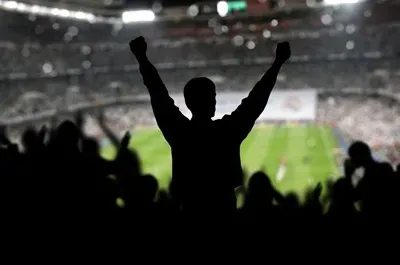 Silhouette of a person with arms raised in a stadium, cheering with crowd and soccer field visible.