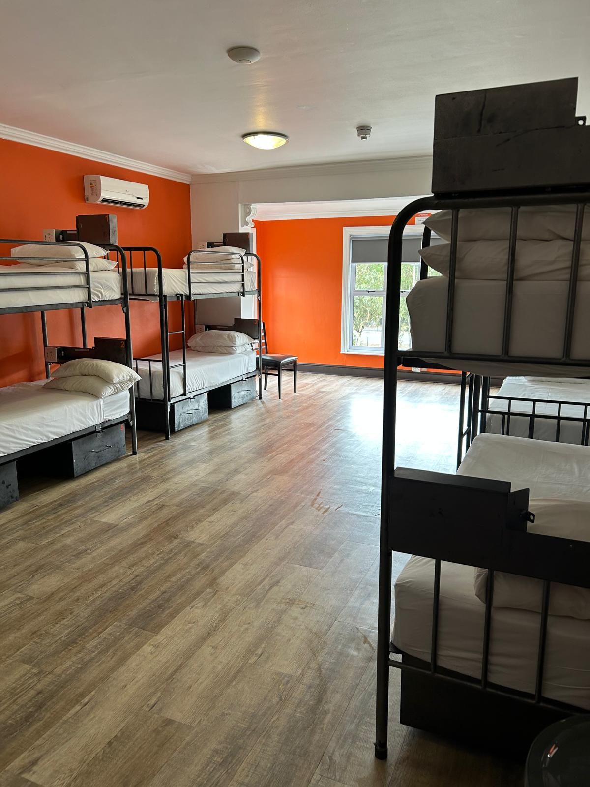 Dorm room with bunk beds and shelves, orange walls, wood floor, and a window letting in daylight