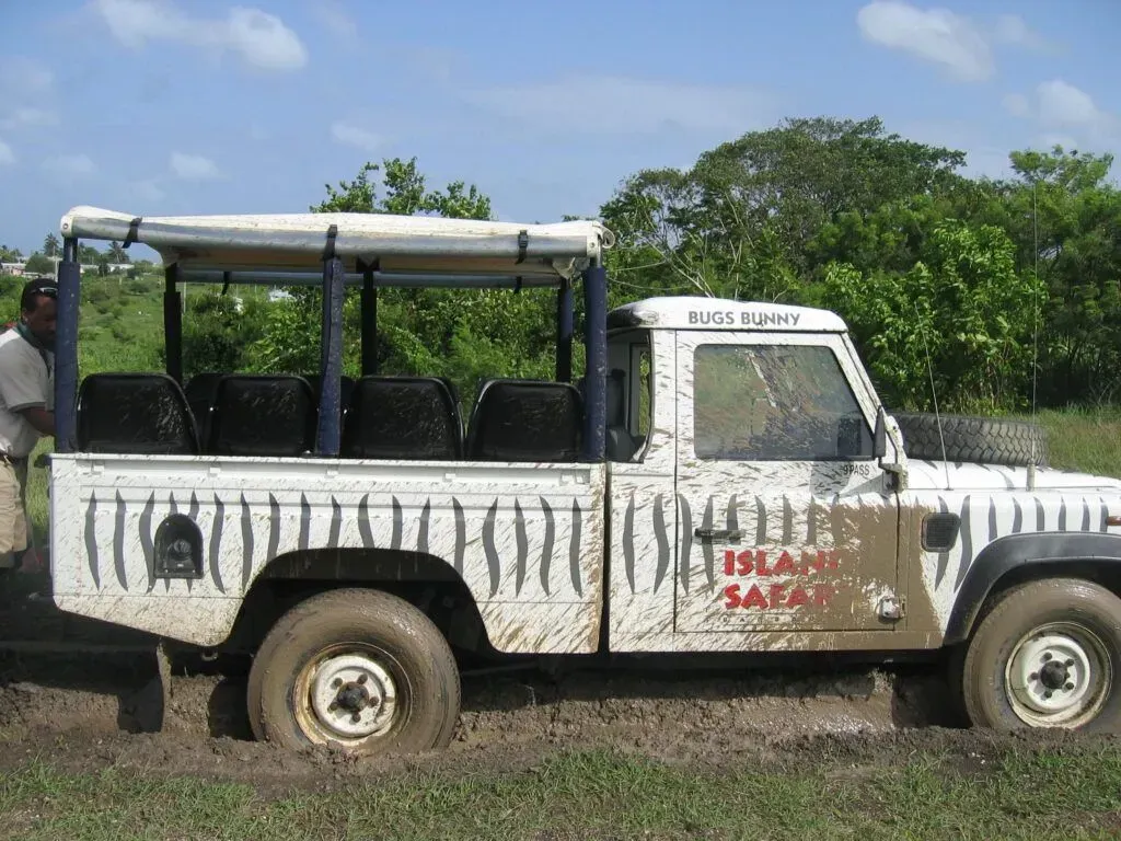 White pickup truck with striped paint and a canopy, parked on a dirt road beside green trees.