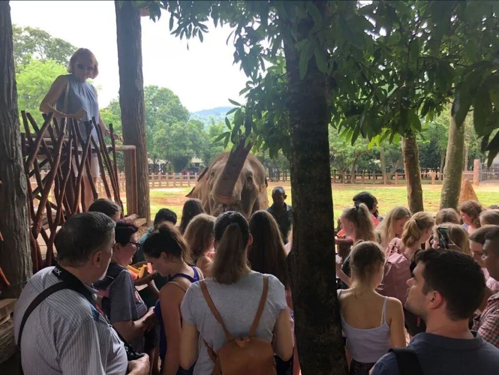 Audience seated outdoors watching a speaker by a wooden fence in a shaded rural setting