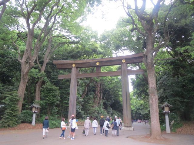 People walking toward a large wooden torii gate in a lush forest shrine entrance.