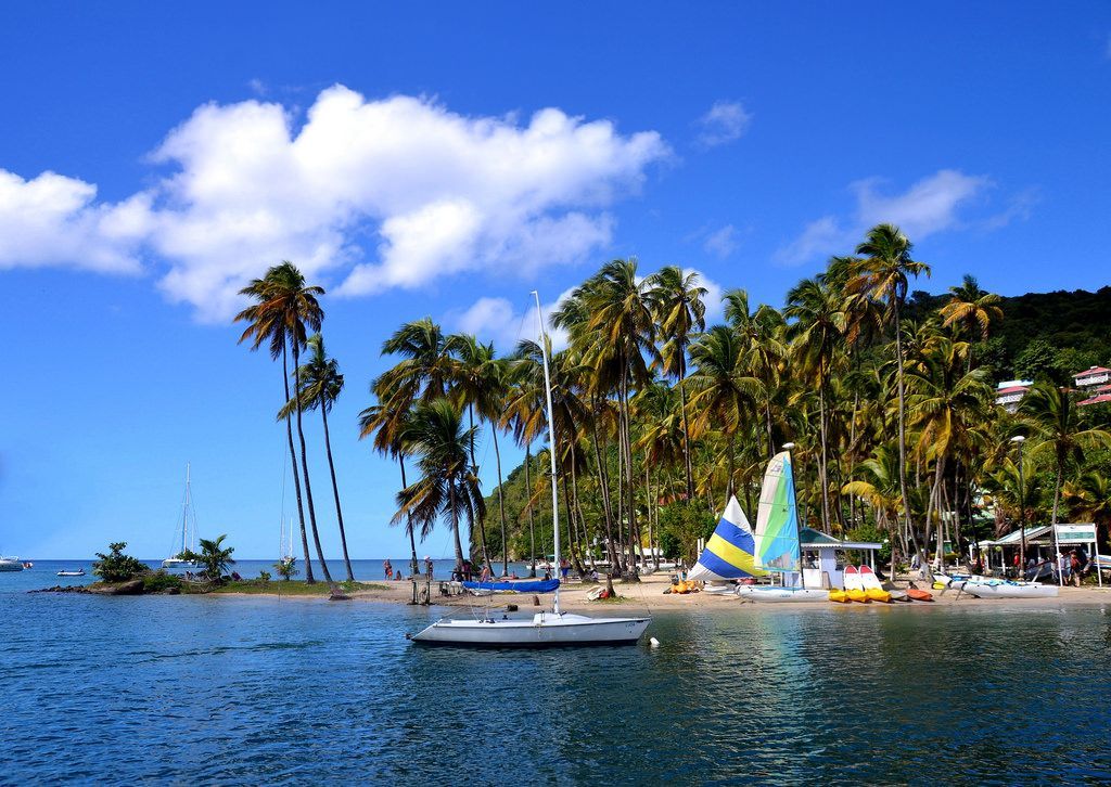 Tropical beach with sailboats, palm trees, and clear blue water under a bright sky