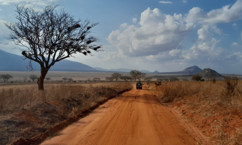 Red dirt road through dry savanna under cloudy sky, with a lone tree and distant mountains