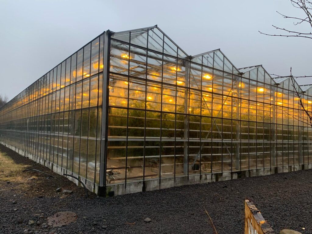 Large glass greenhouse at dusk, glowing with warm lights inside, set on a gravel lot.