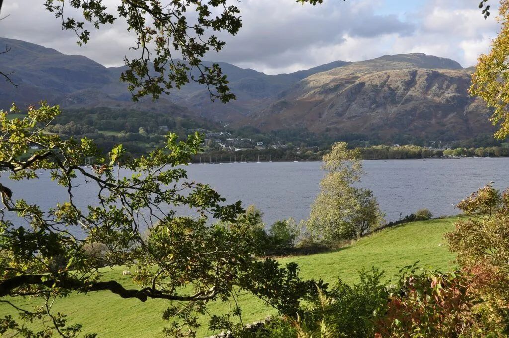 Green lakeside meadow with trees, mountains, and cloudy sky reflected in calm water