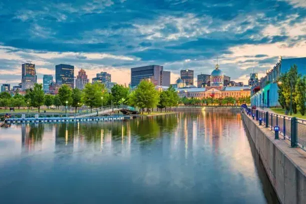 City skyline reflected on a calm river at dusk, with a tree-lined walkway and blue sky.