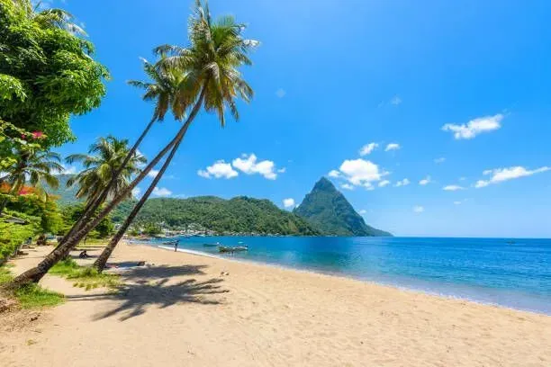 Tropical beach with palm trees, turquoise water, and a distant green headland under a bright blue sky