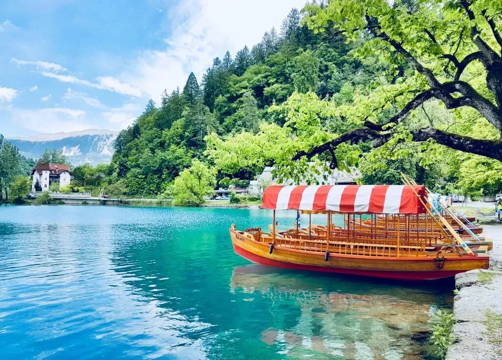 Red-and-white boat on turquoise lake beside lush green hills and a tree branch