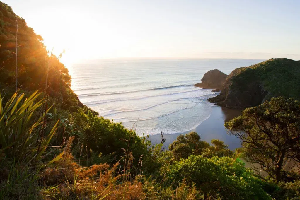 Sunlit coastal bay with waves, rocky cliffs, and lush green vegetation at sunset