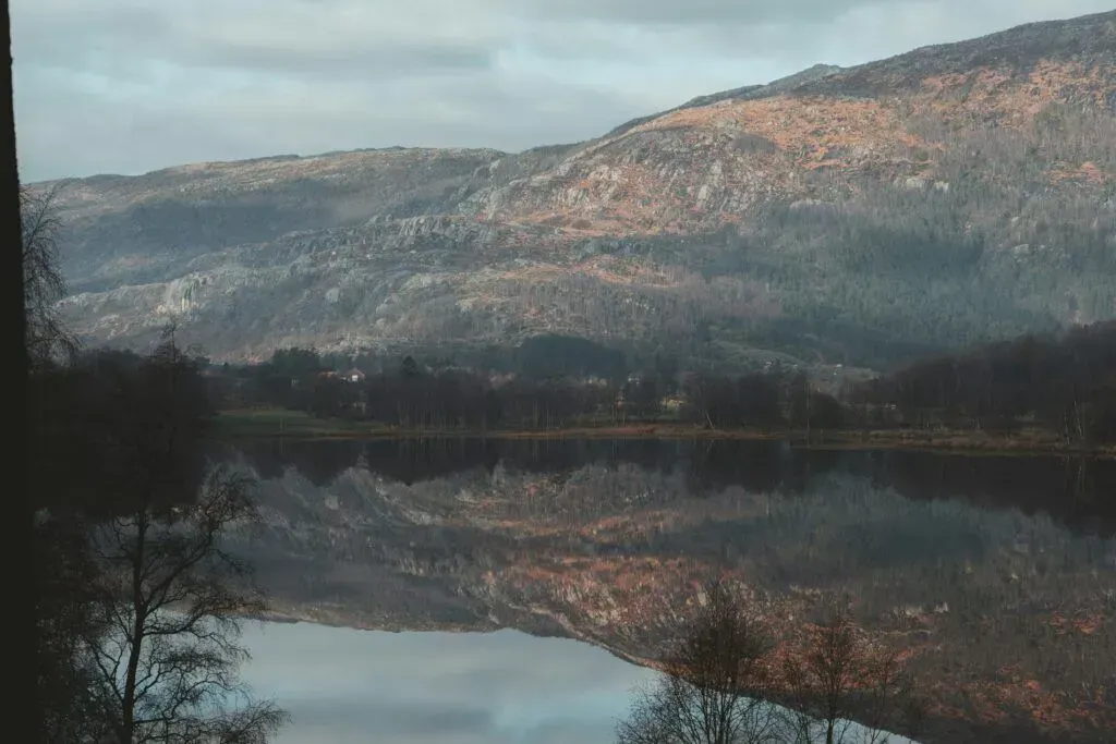 Snowy mountain reflected in a calm lake at dusk, with dark trees in the foreground