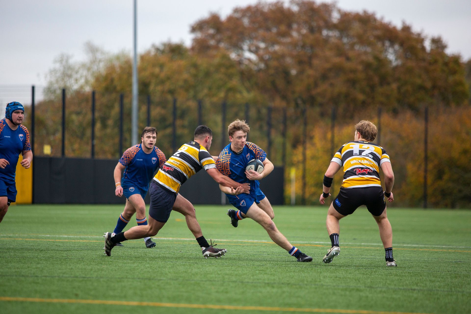 Rugby players in blue and yellow striped jerseys tackle on a grassy field with autumn trees behind them