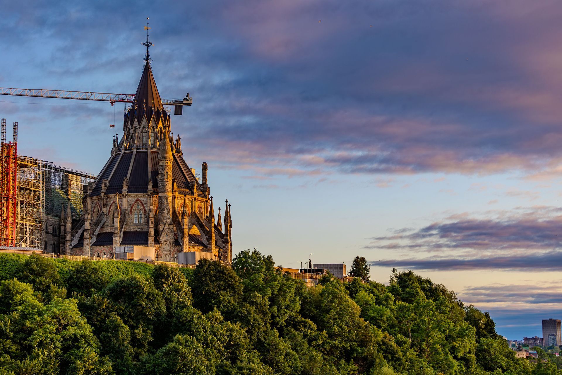 Historic cathedral tower above green trees at sunset under a pink-blue sky