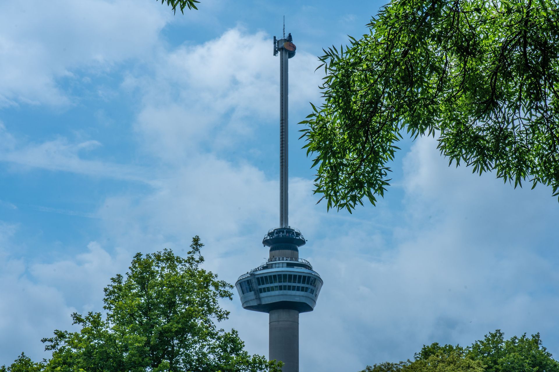 Tower rising above green trees against a blue sky