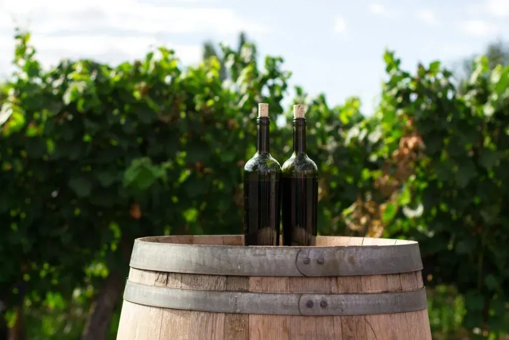 Two wine bottles on a wooden barrel in a vineyard with green grapevines in the background