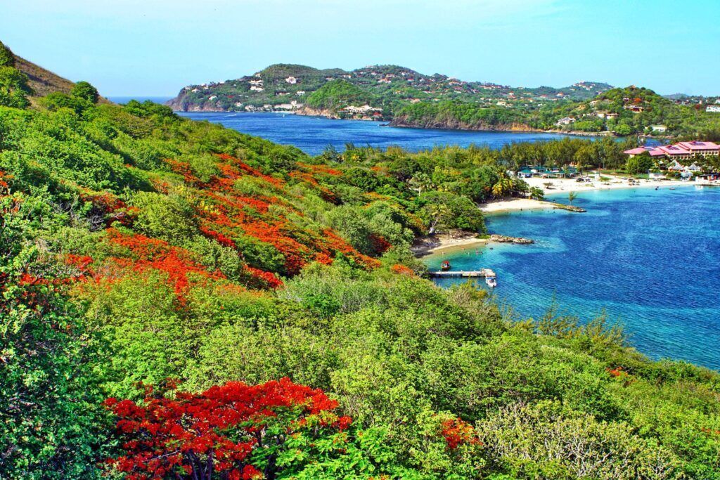 Colorful coastal hillside with red flowers, green shrubs, and blue ocean under a clear sky.