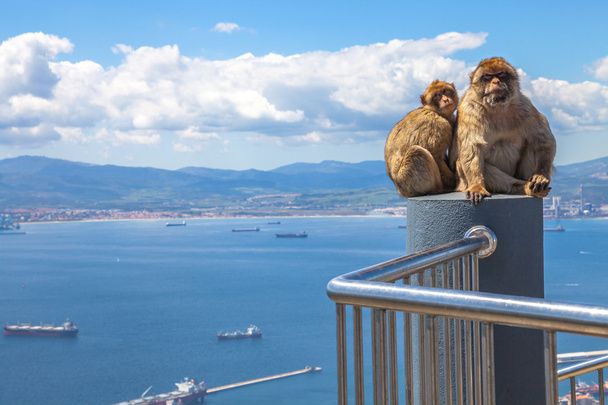 St David’s College’s Rugby Tour to Gibraltar
