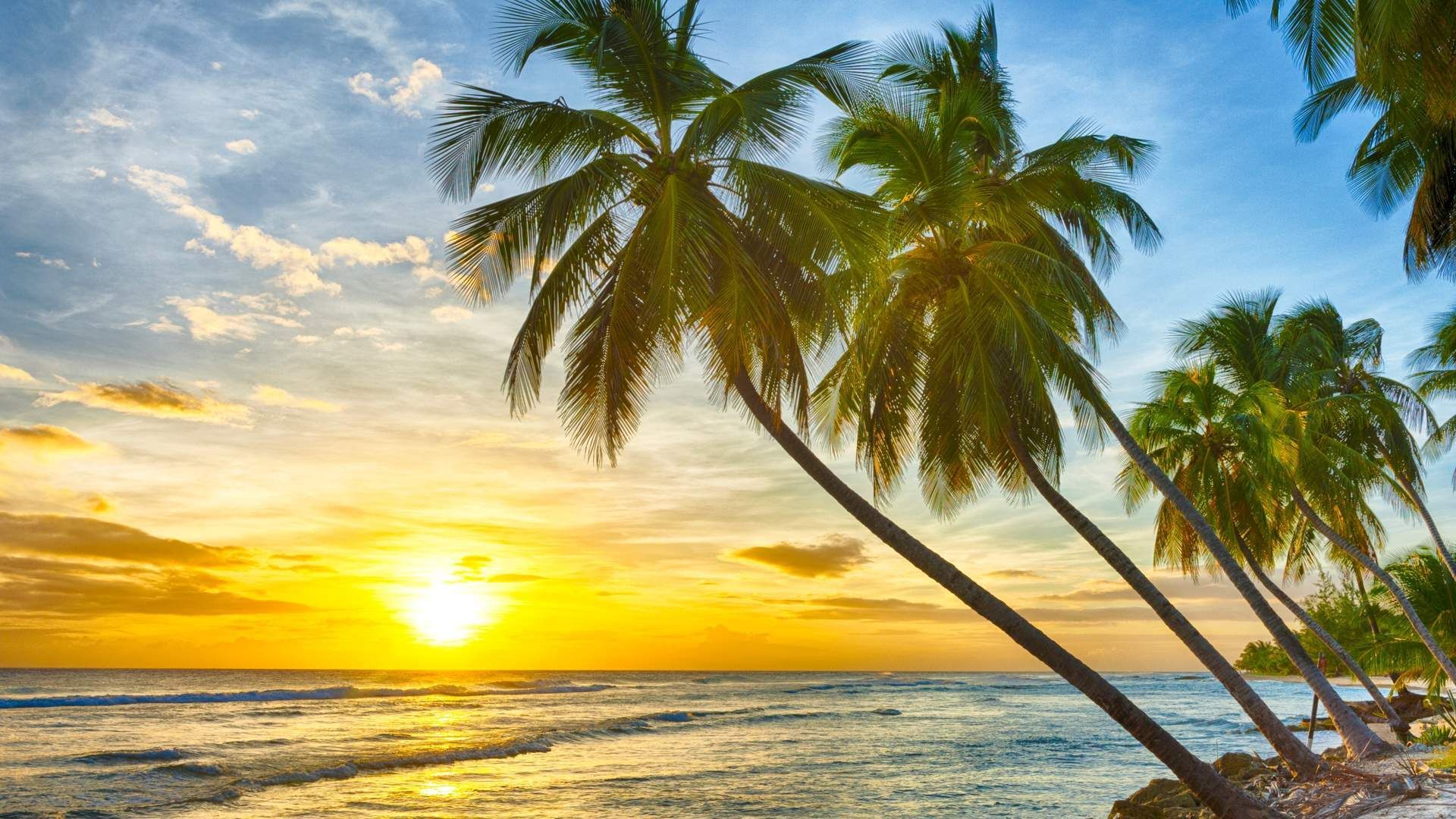 Wirral Grammar School’s Cricket Tour to Barbados