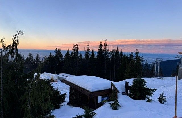 Snow-covered cabin at sunset with pine trees and a pink-blue winter sky
