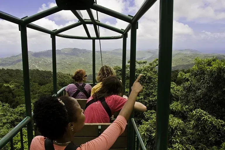 People riding a metal canopy walkway above a lush green forest, with mountains in the distance