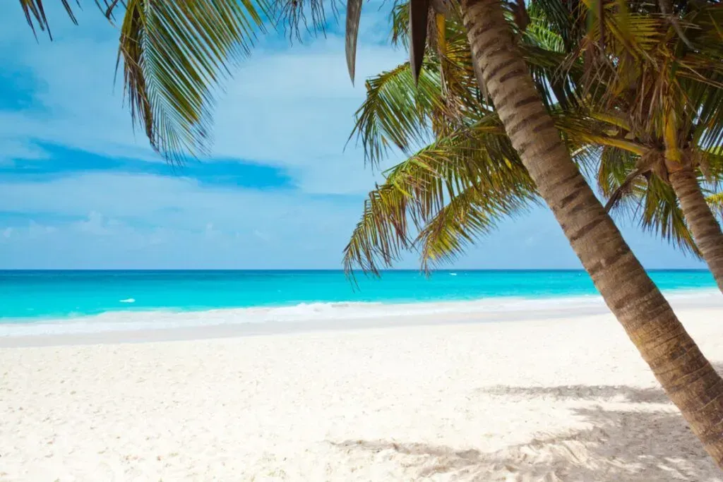 Tropical beach with white sand, turquoise water, and leaning palm trees under a blue sky