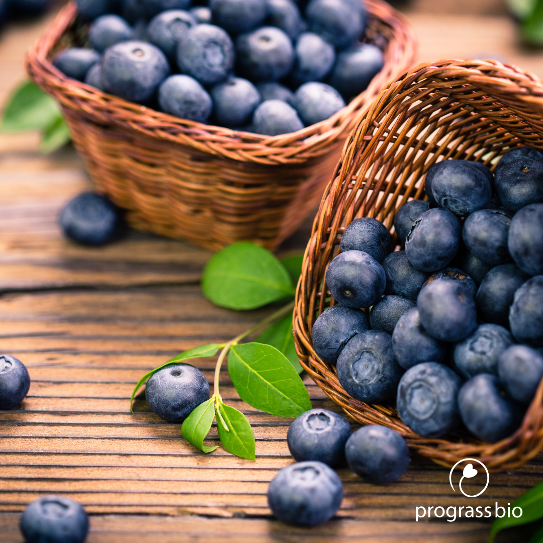 Delicious blueberries