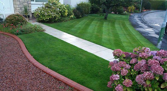 Premium lawn example 2